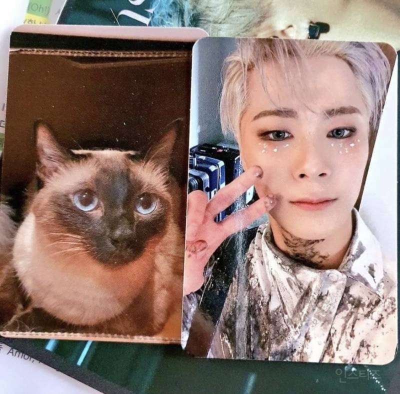 팬들 사이에서 반응 좋다는 남자 아이돌 스페셜 포카 | 인스티즈