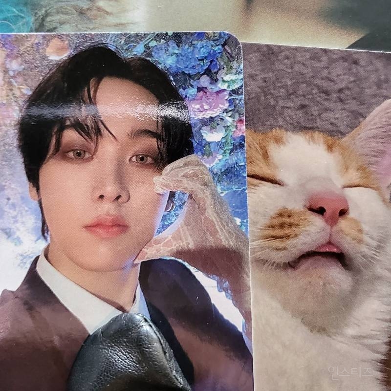 팬들 사이에서 반응 좋다는 남자 아이돌 스페셜 포카 | 인스티즈