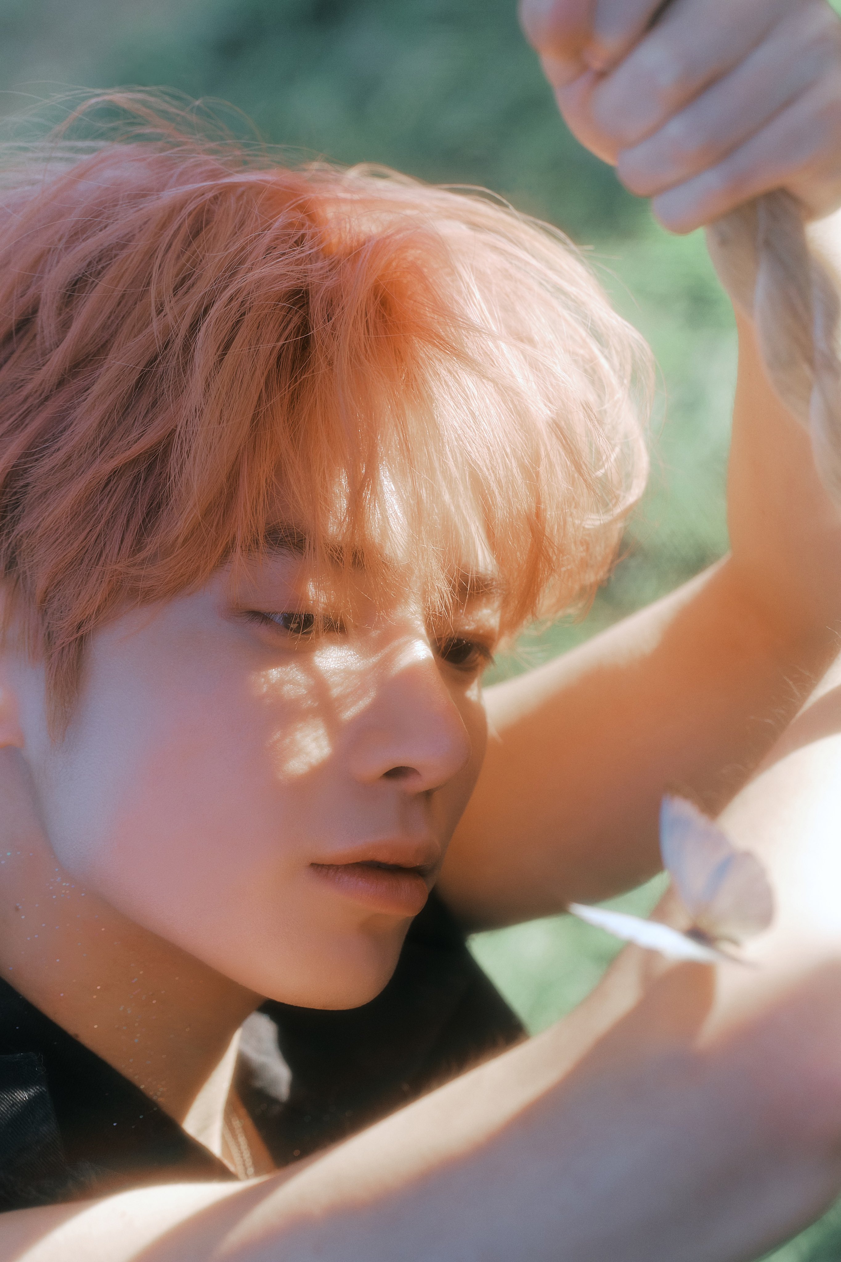 [잡담] 빅히트 몽환적인거에 도가텄다 | 인스티즈