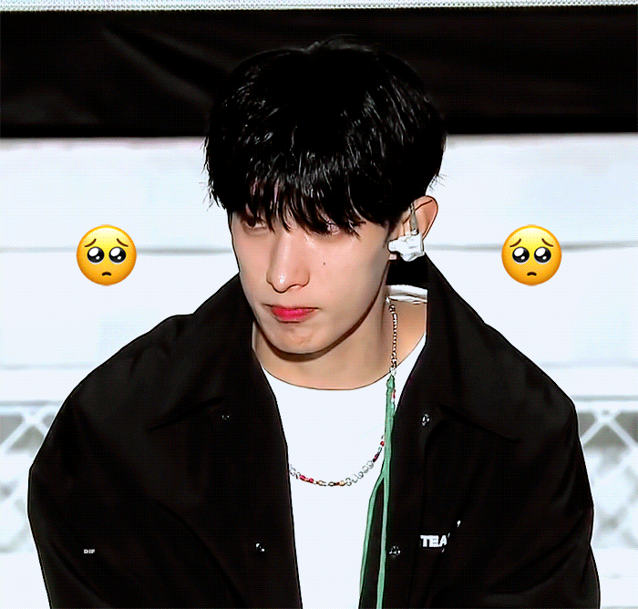 [잡담] 아이돌 인형이 이렇게 강아지랑 닮은 건 처음이야 | 인스티즈