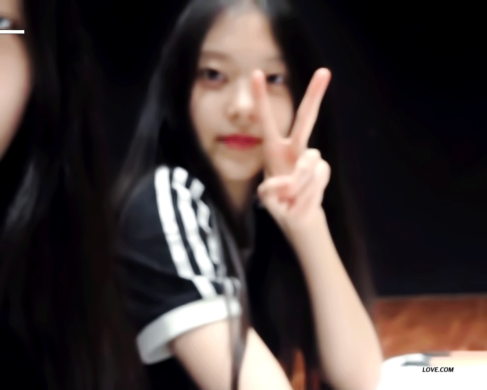 [잡담] 강아지상 러버가 처음으로 사랑에 빠진 강떤고양이… | 인스티즈