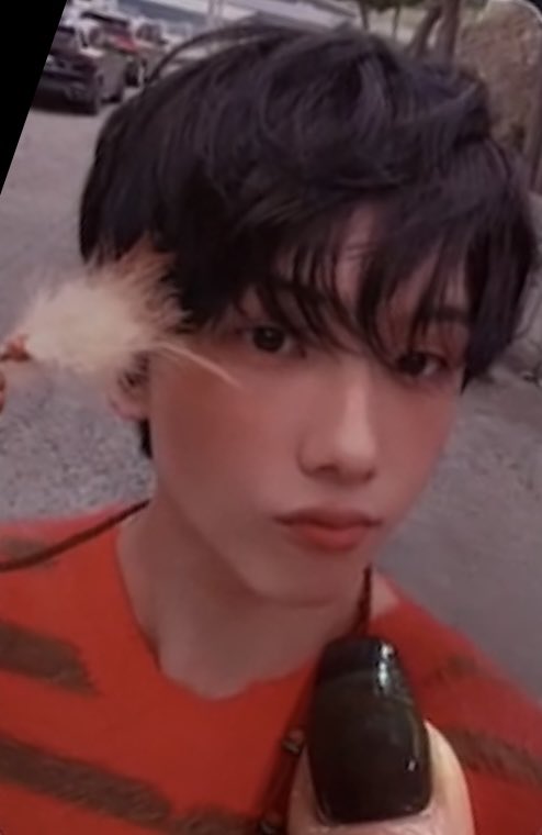 [잡담] 발등에 불 떨어졌는데 포카좀 골라줄 사람ㅜㅜ | 인스티즈