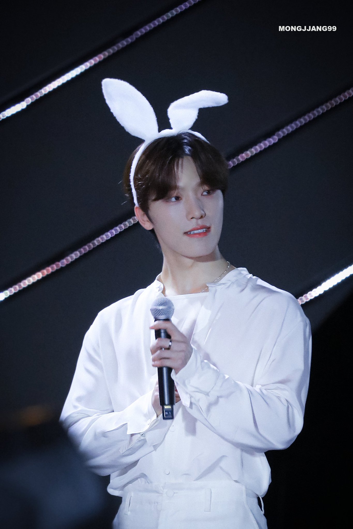 [잡담] 디노는 토끼 머리띠를 써도 내 눈엔 수달로 보여 | 인스티즈