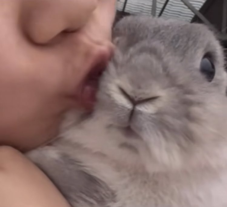 [잡담] 김도영 너무 귀여워!!!! | 인스티즈