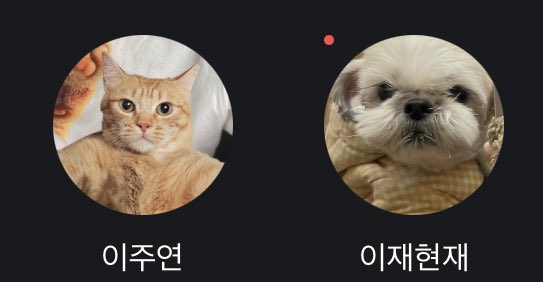 [잡담] 주연 현재 프사 귀여워ㅠㅠㅋㅋㅋㅋ | 인스티즈