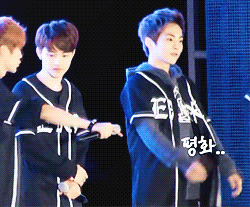 [잡담] 시우민이랑 디오가 붙으면 귀여움이 두배가 된다 | 인스티즈