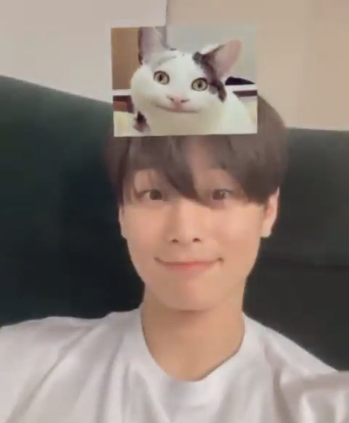 [잡담] 주연이가 따라한 고양이 | 인스티즈