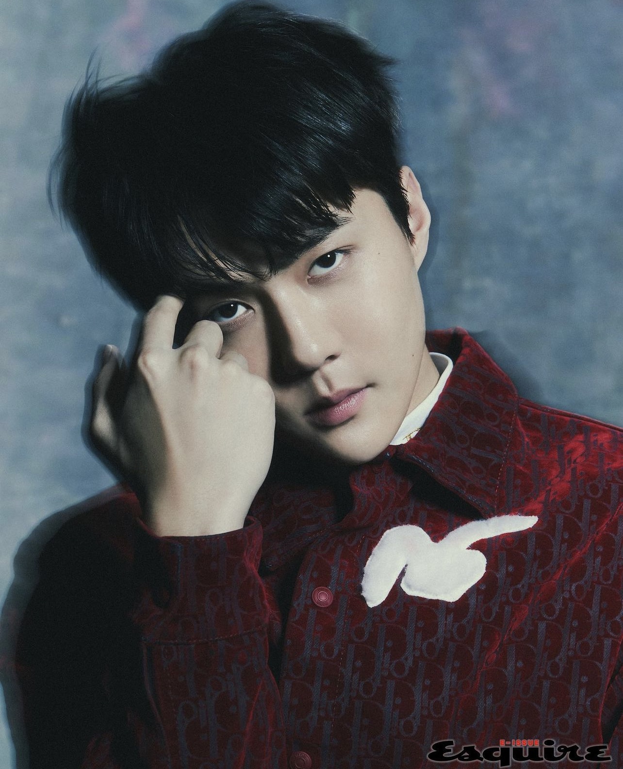 [잡담] 세훈 6일전에 난 디올 신상 홍보 기사에서 글로벌 앰버서더라고 언급함 | 인스티즈