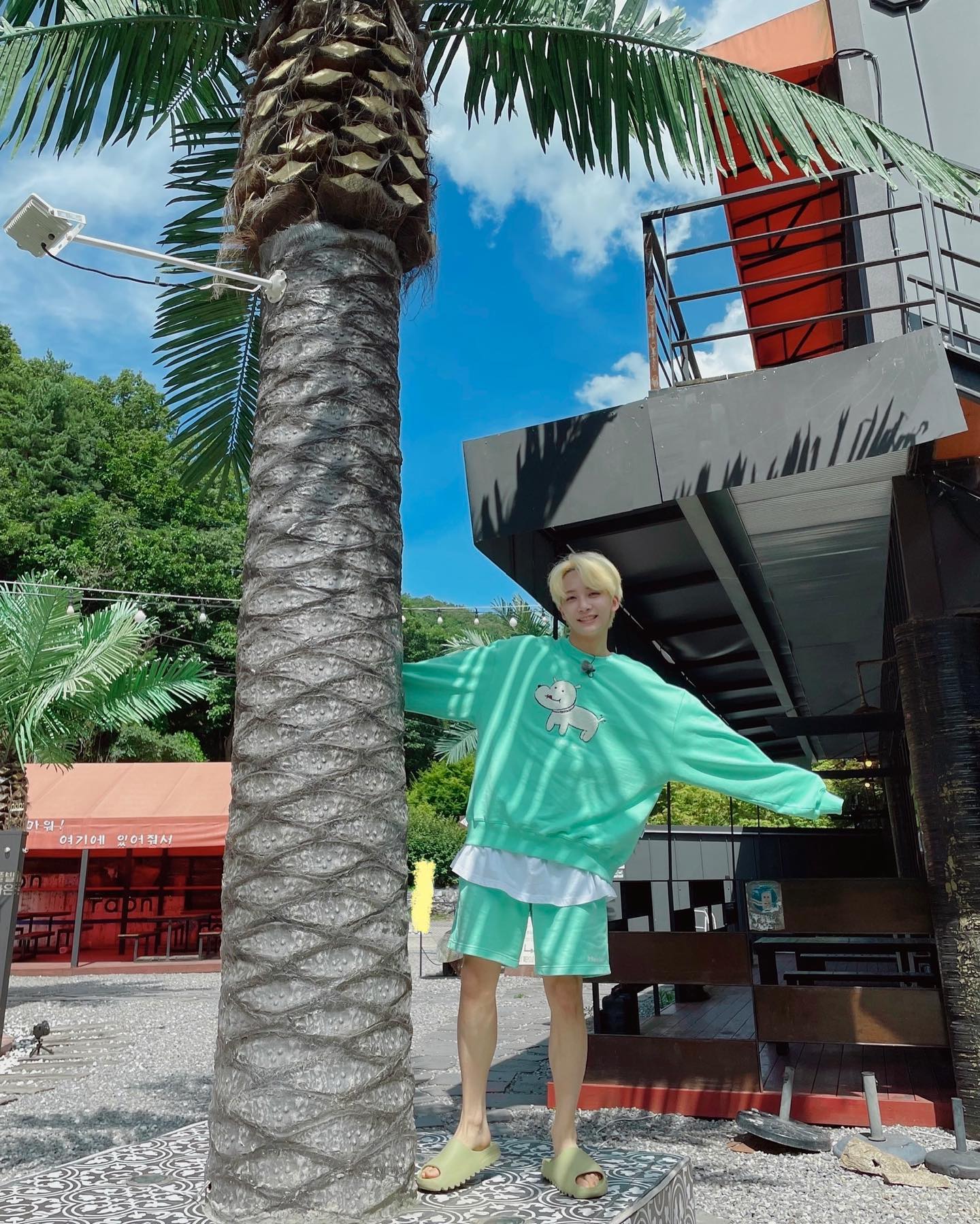 [잡담] 걍 정리해줄게 세븐틴 팬들이 생로랑 정한보고 광공이라고 '주접'떤 이유 | 인스티즈