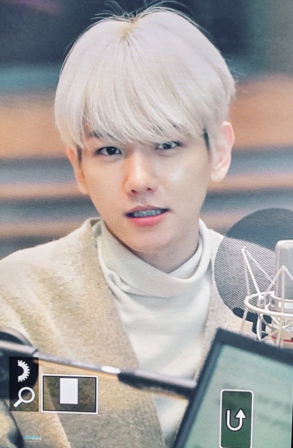 [잡담] 백현이 강아지였던 날 | 인스티즈