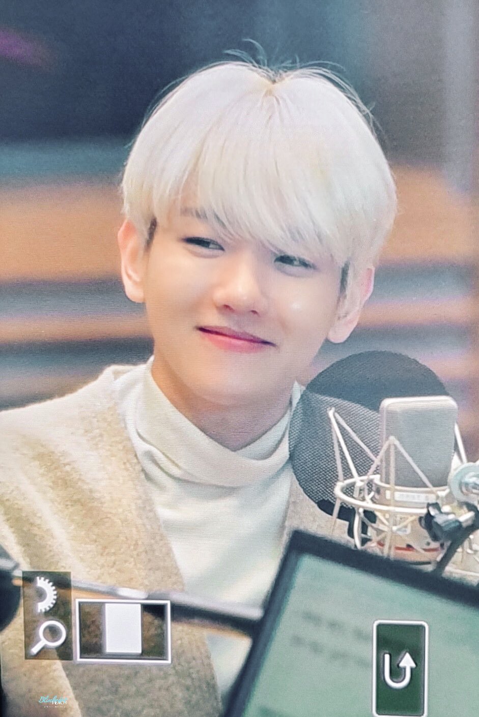 [잡담] 백현이 강아지였던 날 | 인스티즈