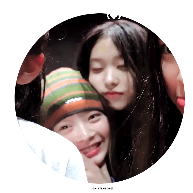 [잡담] 해린 고양이인데 개과네 멤버들한테 웅냥냥거림 | 인스티즈