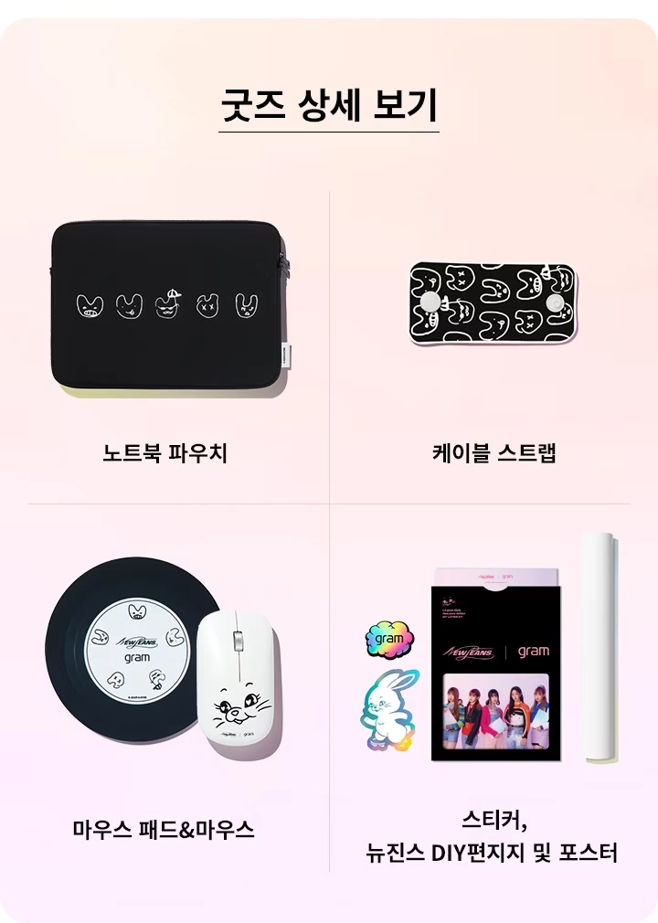 [잡담] 뉴진스 노트북 파우치만 따로 팔아주면 안되나 ㅠ | 인스티즈