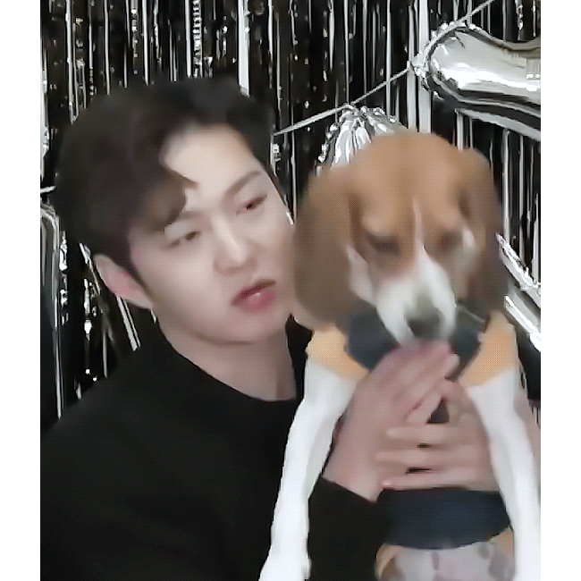 [잡담] 이창섭 팬드라 | 인스티즈