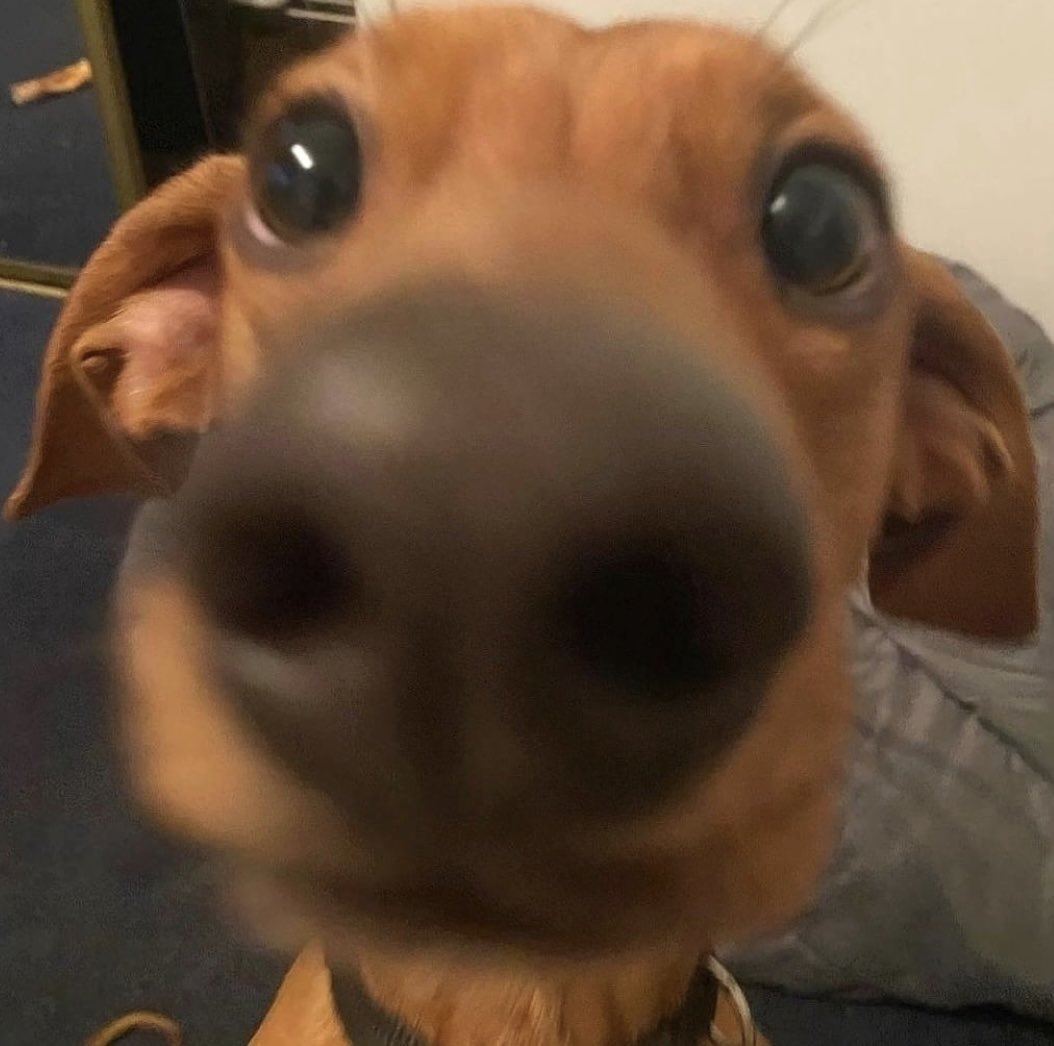 [잡담] 설현이 진짜 자기 같다고 한 사진ㅋㅋㅋㅋㅋㅋ | 인스티즈