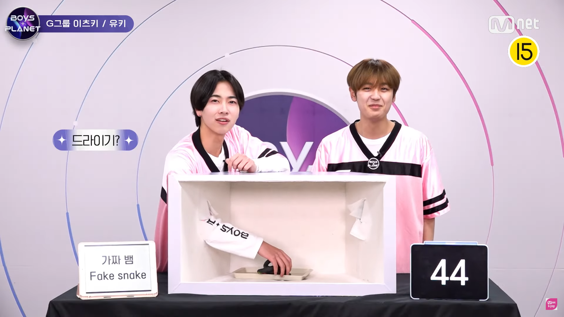 [잡담] 보플 히든박스 패트와 매트ㅋㅋㅋㅋㅋㅋㅋ | 인스티즈