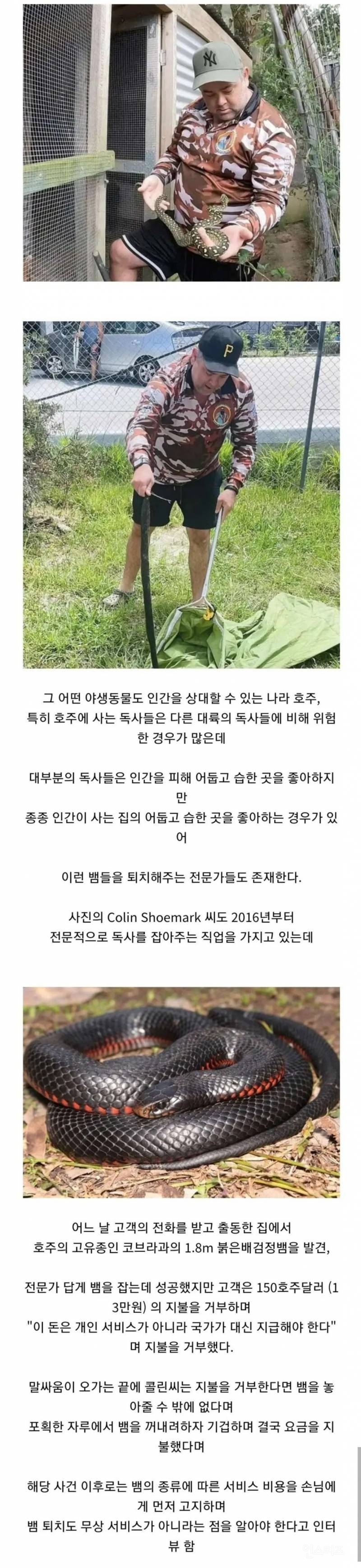 썸네일-먹튀가 불가능한 업종-이미지