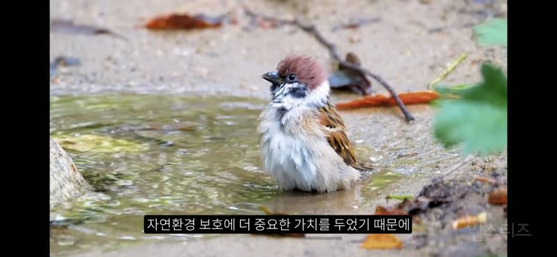 책임질 수 없다면 고양이 밥 주지 마세요 | 인스티즈