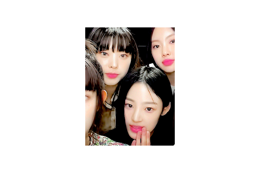 [잡담] 해린 고양이인데 개과네 멤버들한테 웅냥냥거림 | 인스티즈