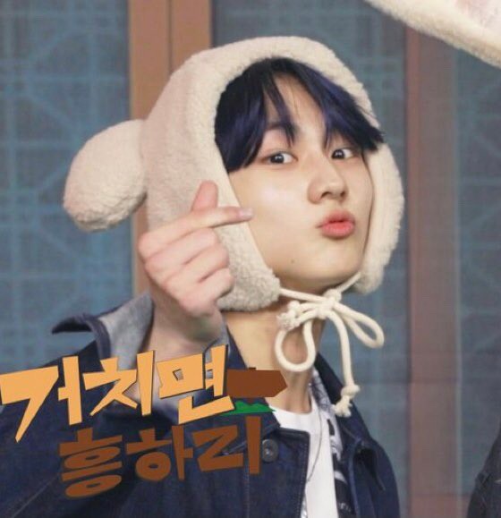 [잡담] 이 곰도리 모자 또 파는데 있을까 | 인스티즈