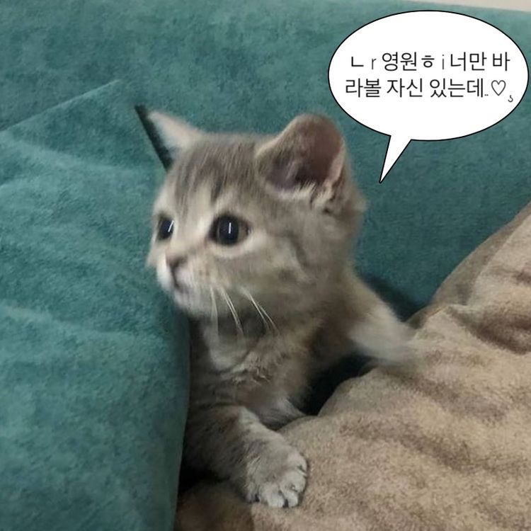 [잡담] 127 이정도면 나랑 결혼해줘야 하는데 | 인스티즈