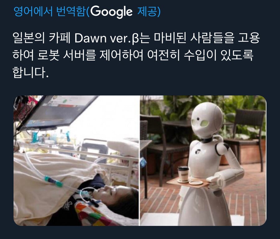 nokbeon.net-일본 로봇카페의 몰랐던 순기능.jpg-5번 이미지