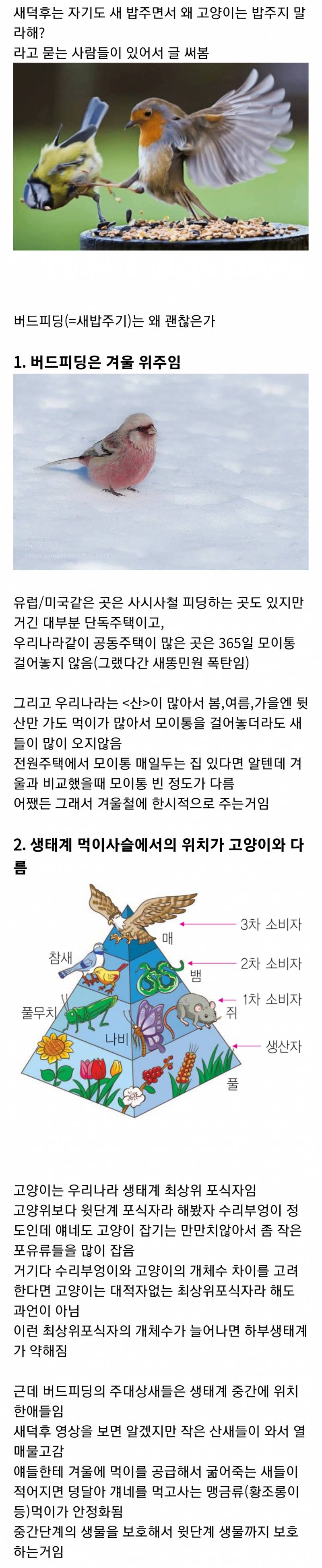 자기도 새 밥주면서 고양이는 밥주지 말라는 새덕후 | 인스티즈