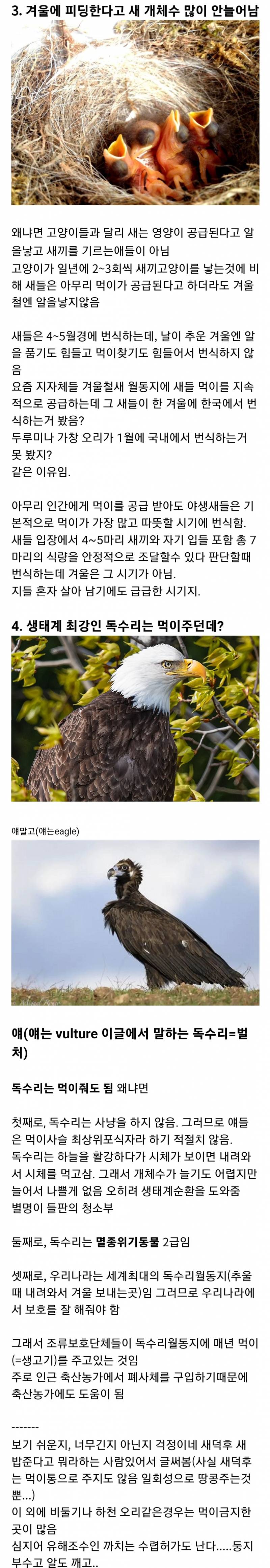 자기도 새 밥주면서 고양이는 밥주지 말라는 새덕후 | 인스티즈