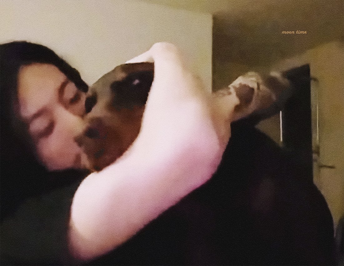 [잡담] 밤이가 정국이 진짜 좋아한다 | 인스티즈