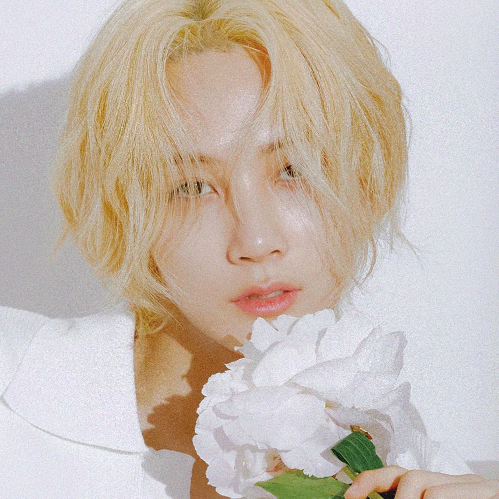 [잡담] 나의 하울.. 나의 피에르.. | 인스티즈