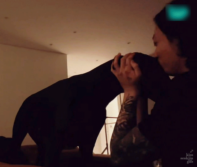 [잡담] 밤이가 정국이 진짜 좋아한다 | 인스티즈