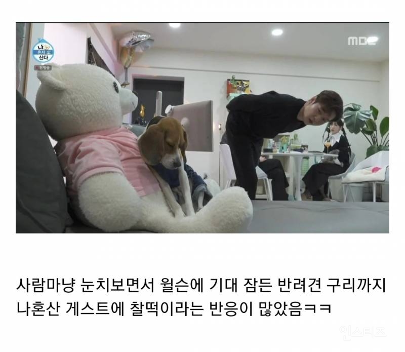 I인 사람들에게 최악인 상황 (나혼산) | 인스티즈