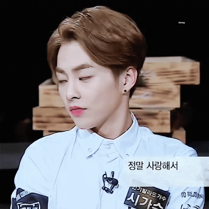 [잡담] 나는 진짜 절대 소나무가 될 수 없는듯... | 인스티즈