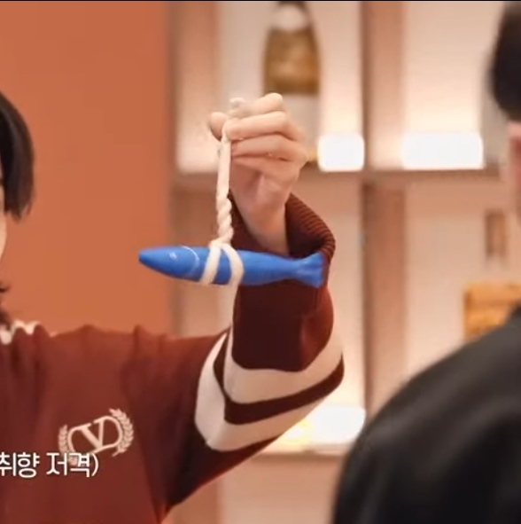 [잡담] 나는 호시가 가져온 선물 명태인형이라길래 '먹는걸로 어떻게 인형이..? 유행하는 안주인가..?' | 인스티즈