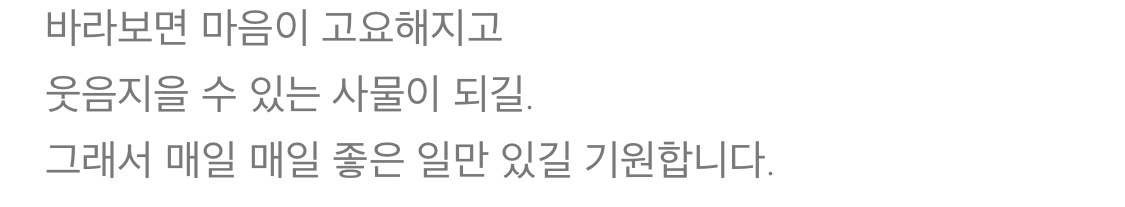 [잡담] 호시도 슈가님한테 이런 의미로 명태 인형 선물한 것 같음 | 인스티즈