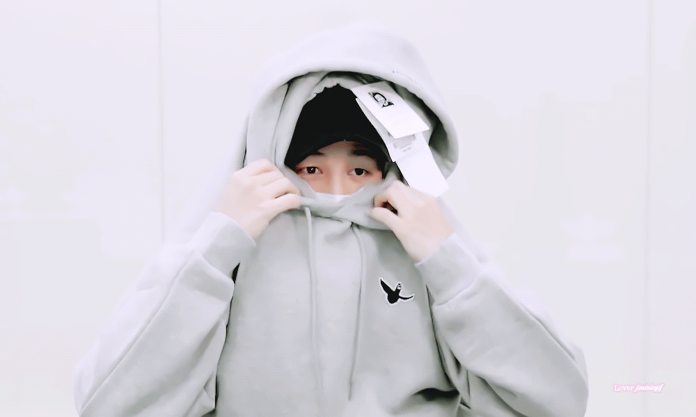 [잡담] 자기만 안 보이면 안 보인다구 생각하는 강아지...🐶 | 인스티즈