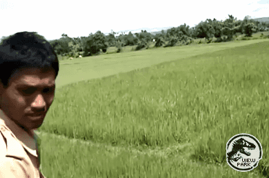 호랑이가 맹수인 이유 | 인스티즈