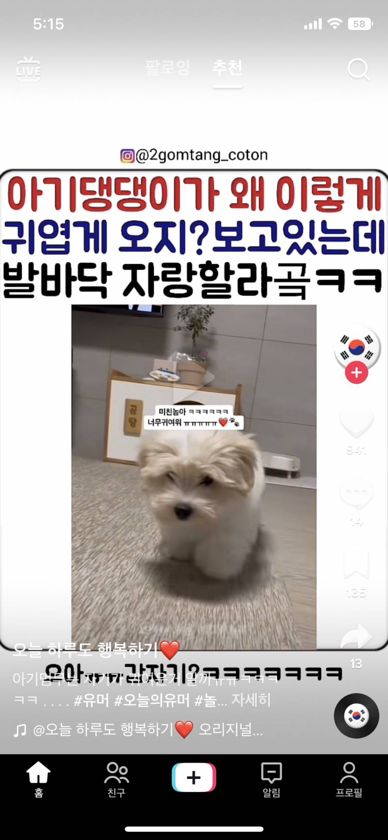 이 강쥐 종이 어떻게 돼? | 인스티즈