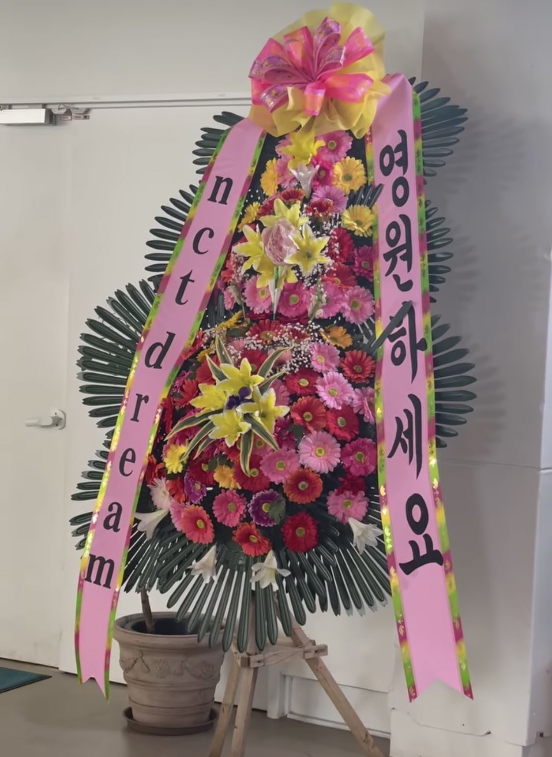 [정보/소식] NCT DREAM 자카르타 드림쇼3 K팝 보이그룹 최초🔥 GBK 메인 스타디움 단독 콘서트 개최 | 인스티즈