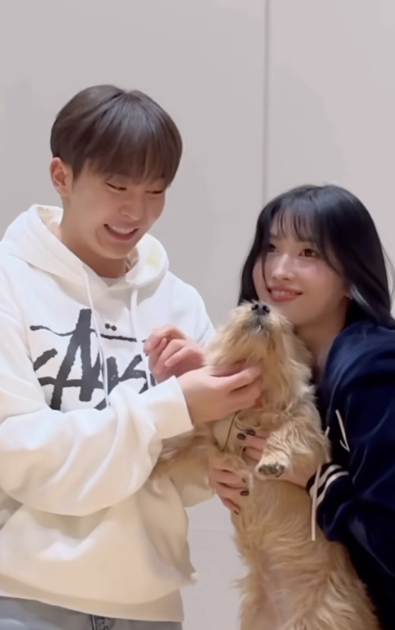 [잡담] 아니 모모 파이팅해야지 챌린지 개귀엽다… | 인스티즈