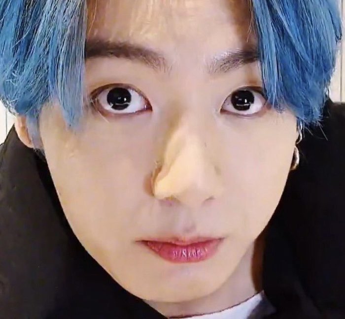 [잡담] 방탄 정국 신기할 정도로 펫캠 시점을 보여주는 아이돌 | 인스티즈