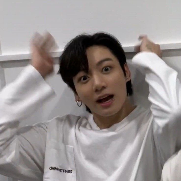 [잡담] 방탄 정국 신기할 정도로 펫캠 시점을 보여주는 아이돌 | 인스티즈