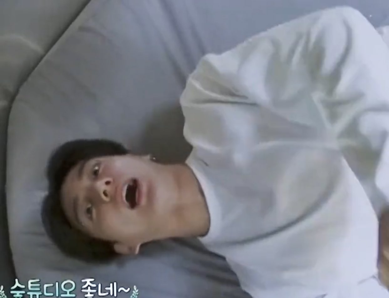 [잡담] 방탄 정국 신기할 정도로 펫캠 시점을 보여주는 아이돌 | 인스티즈