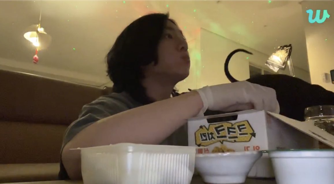 [잡담] 방탄 정국 신기할 정도로 펫캠 시점을 보여주는 아이돌 | 인스티즈