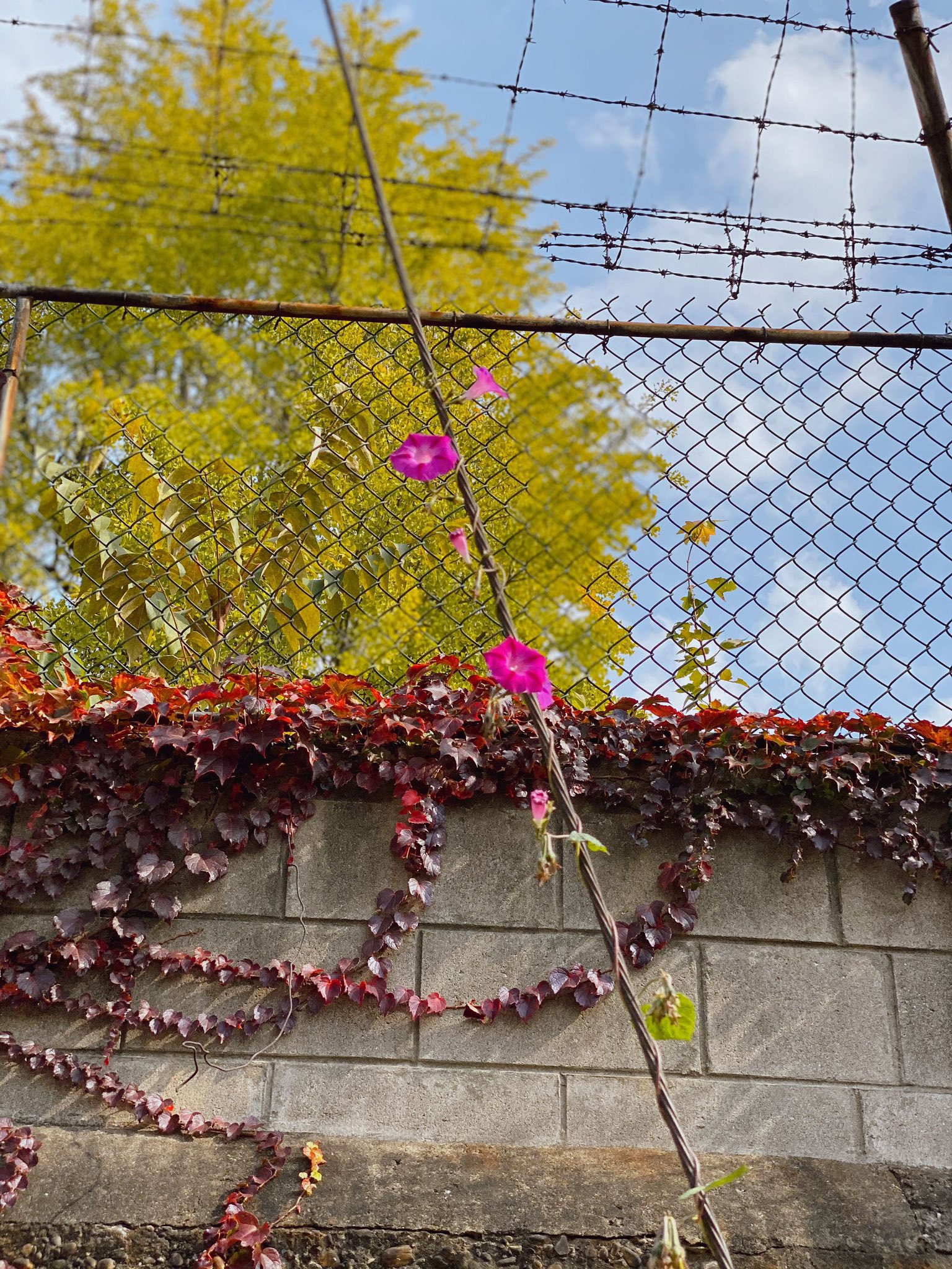 [잡담] 방탄 알엠 이럴 때 사랑스러움 | 인스티즈