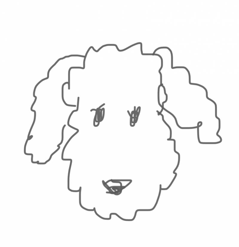 이 강아지종 이름 아는사람!!!!!(발그림) | 인스티즈