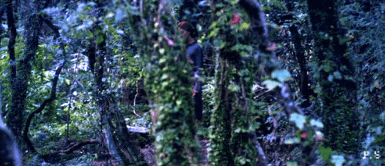 [잡담] 내가 보고 싶어서 정리하는 아이돌 노래 14편 <데자부> | 인스티즈