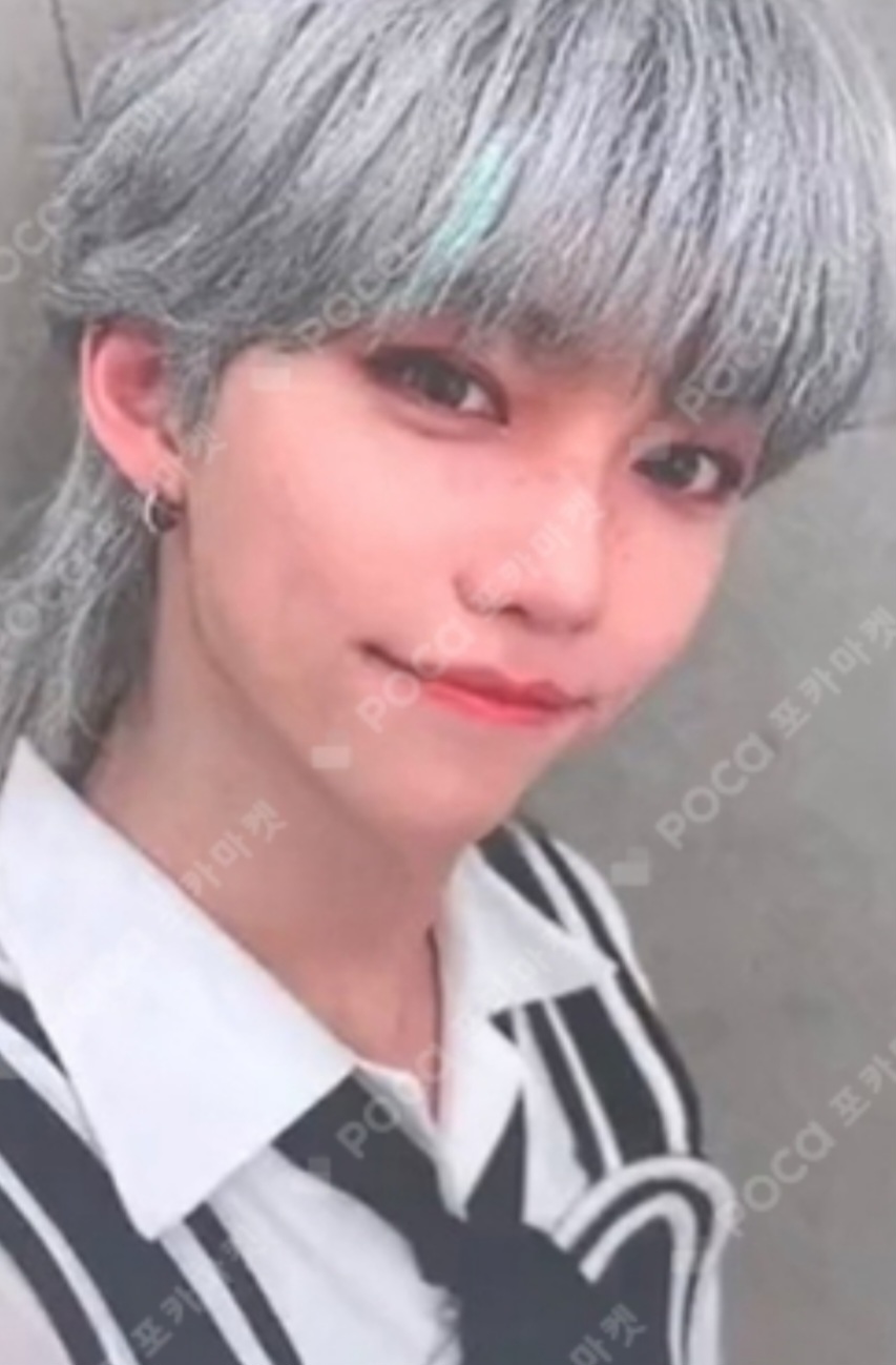 [잡담] 포카. 골라조 | 인스티즈