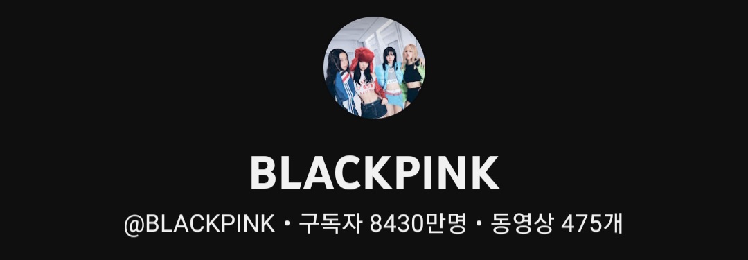 [잡담] 블핑 유튜브 구독자수는 ㄹㅇ 어나더 같음 범접할 수가 없어 | 인스티즈