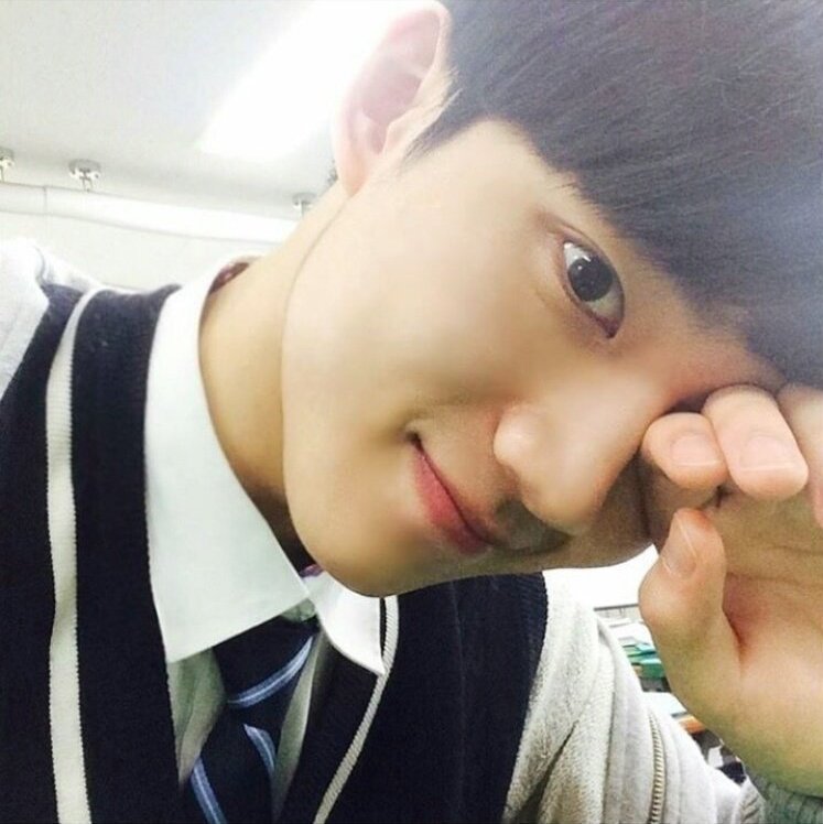 [잡담] 프듀2 안형섭 뭐하고 사니? | 인스티즈